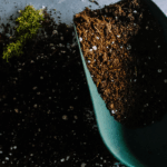 FiniTo – Fit für torffreie Substrate