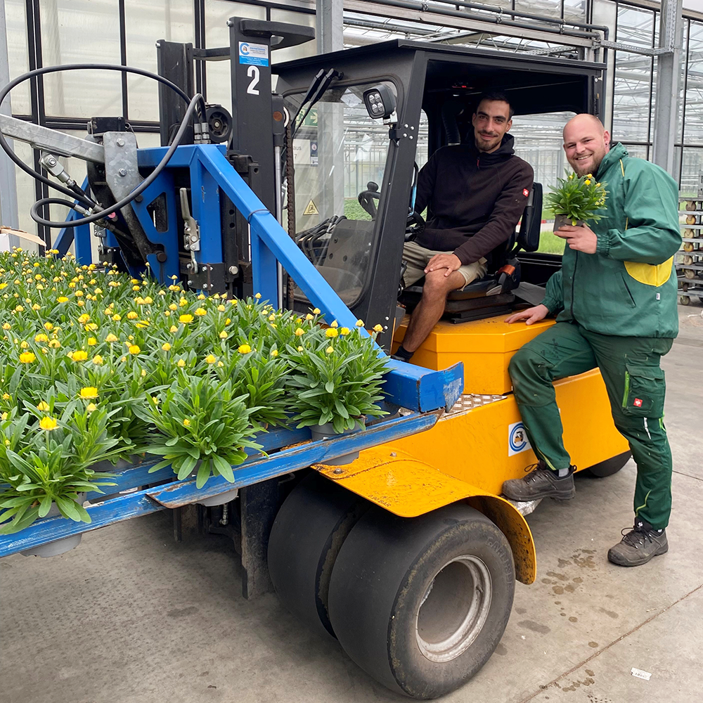 Stapler mit David & Dennis